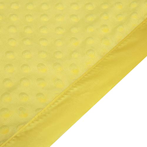 Pro Goleem Soft Minky Blanket with Satin Backing for Baby Pets
