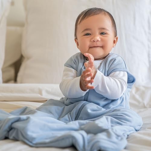 HALO SleepSack SuperSoft Wearable Blanket for Babies 12-18 Months Blue Fog