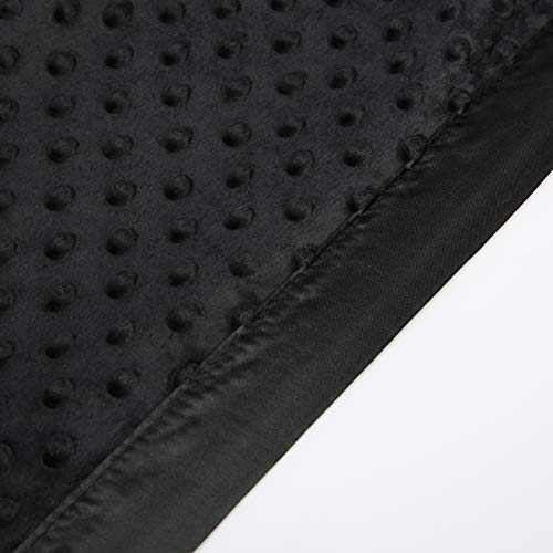 Pro Goleem Minky Dot Blanket with Satin Backing 1