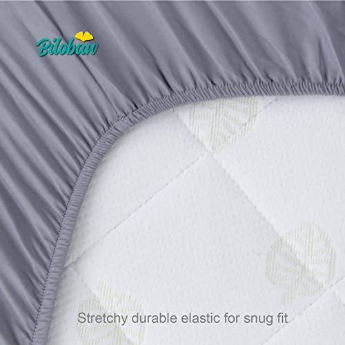 Biloban Bassinet Sheets 2 Pack Ultra Soft Microfiber