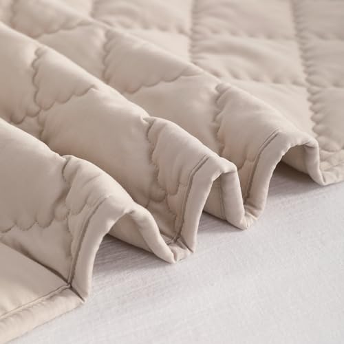 NTBAY Toddler Comforter Lightweight Warm Microfiber Quilt 39x47 Inches Taupe