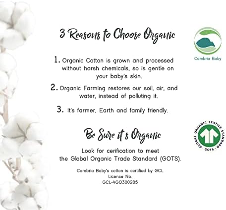 Cambria Baby Organic Cotton Bassinet Sheets 3-Pack