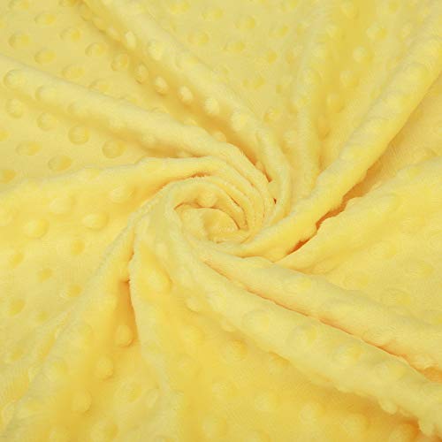 Pro Goleem Soft Minky Blanket with Satin Backing for Baby Pets