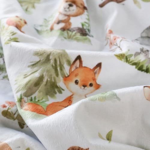 BORITAR Double Layer Minky Blanket with Dotted Backing