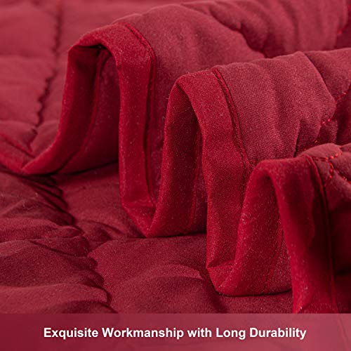 NTBAY Down Alternative Toddler Comforter Lightweight and Warm Red Crib Quilted Blanket