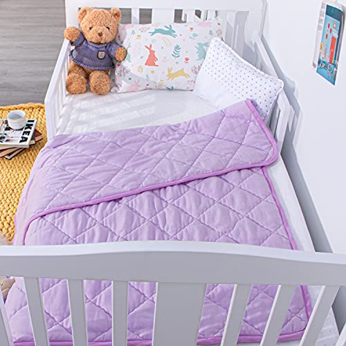 NTBAY Oversized Toddler Comforter Light Purple 43x60 Inches