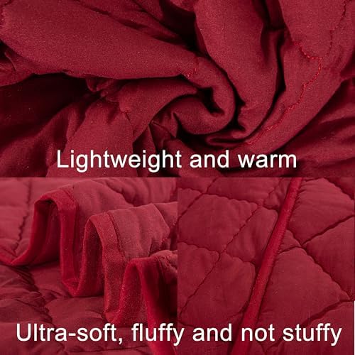 Organictune Microfiber Toddler Quilt 39x47 Inches Red
