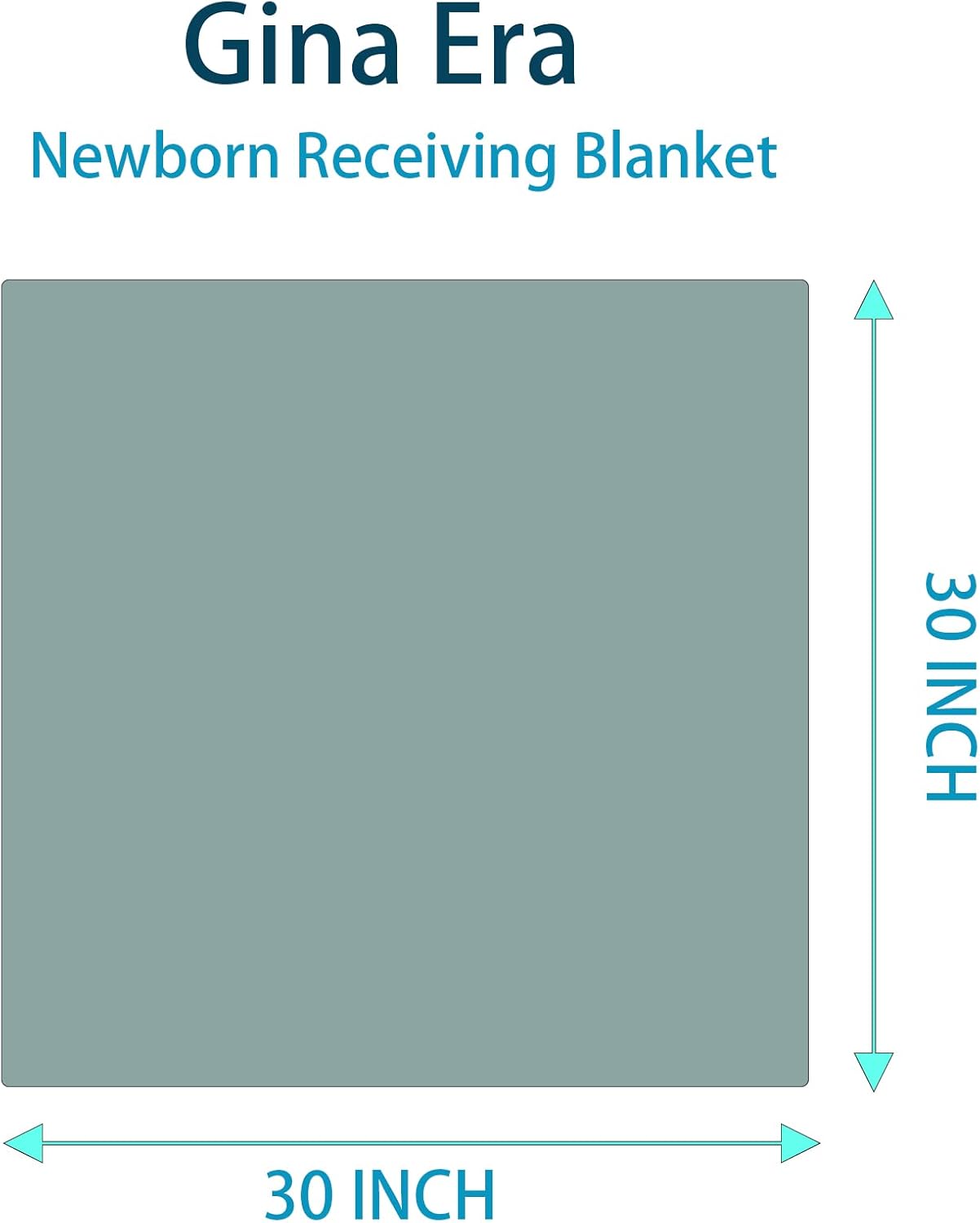 Gina Era Flannel Baby Blankets 4-Pack 30x30 Inch