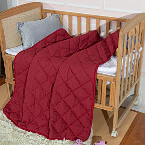 NTBAY Down Alternative Toddler Comforter Lightweight and Warm Red Crib Quilted Blanket